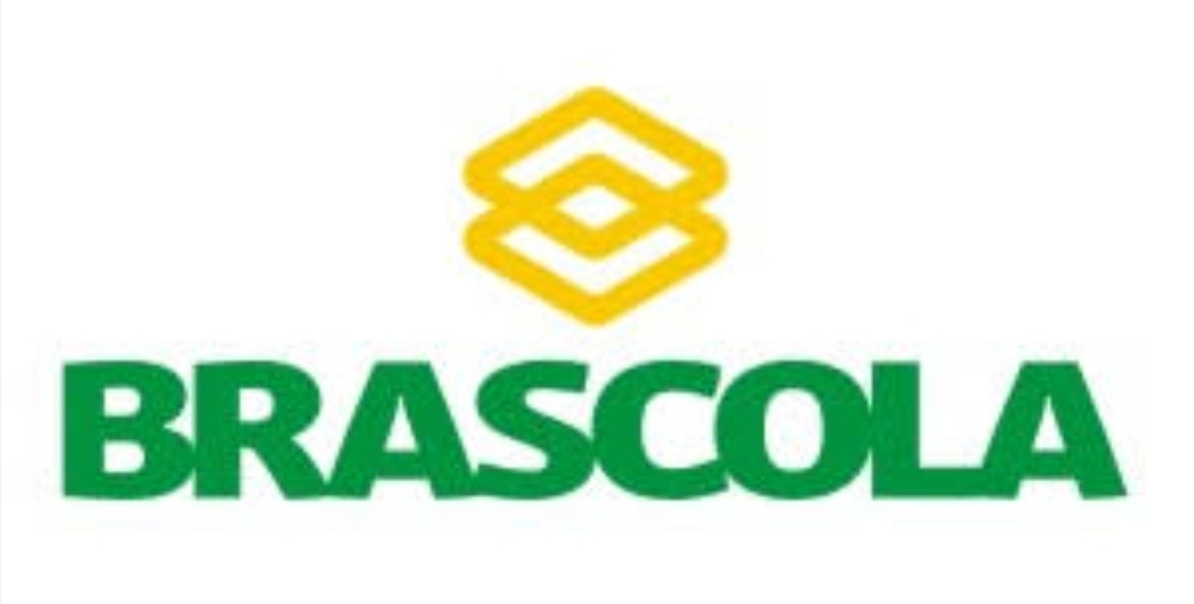 Screenshot_20260310_124705_Google