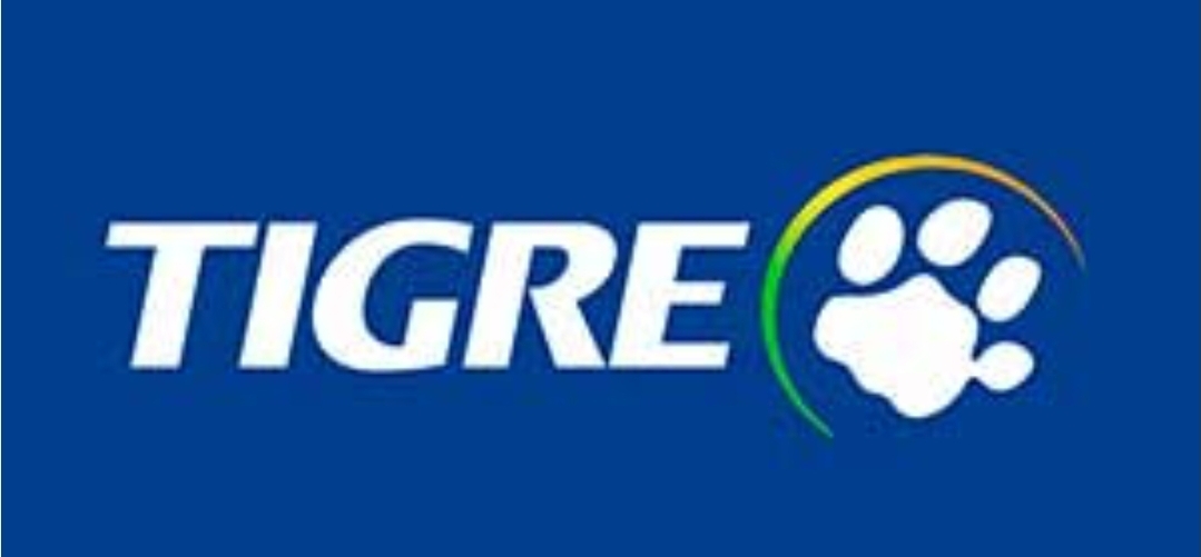 Screenshot_20260310_124856_Google